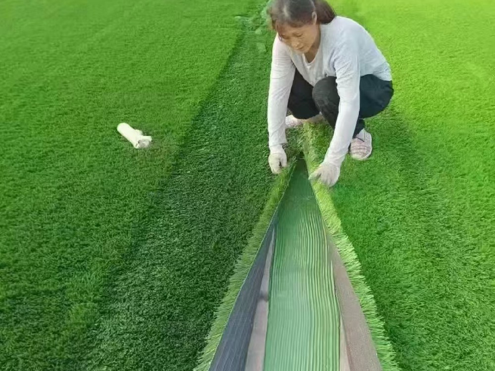 人造草坪施工